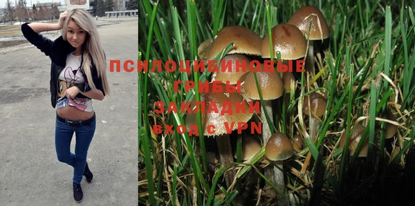 PSILOCYBIN Волоколамск