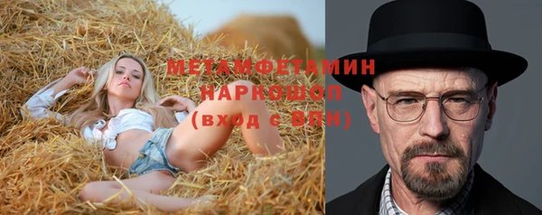 СК Вязьма
