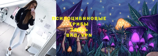 МДПВ Вяземский