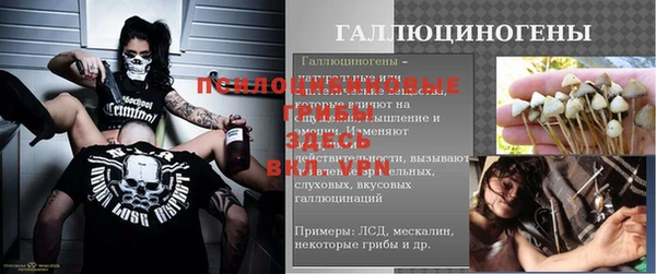 дурь Верхний Тагил