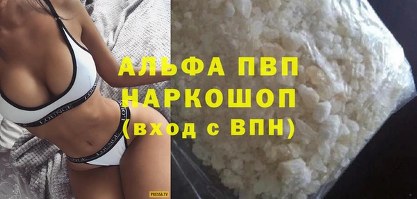 СК Вязьма