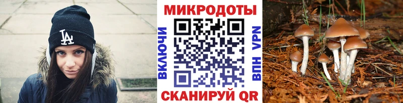 Псилоцибиновые грибы MAGIC MUSHROOMS  Завитинск 