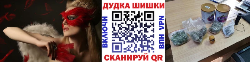 Каннабис план  купить   мега зеркало  Завитинск 